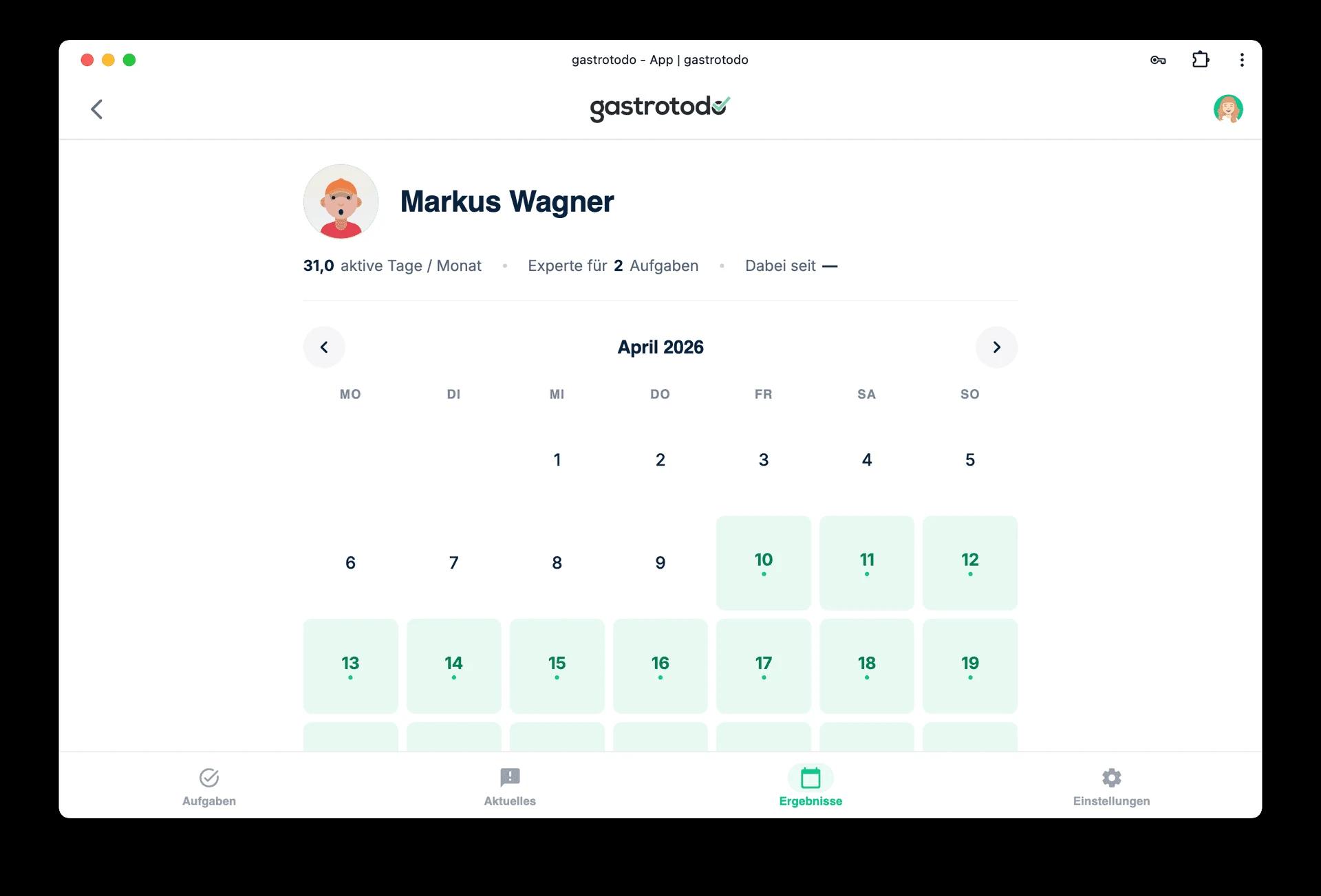 Team member profile with assigned areas and tasks